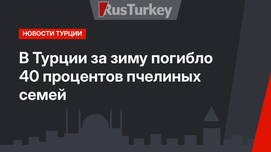 В Турции за зиму погибло 40 процентов пчелиных семей