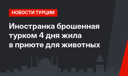 Иностранка брошенная турком 4 дня жила в приюте для животных