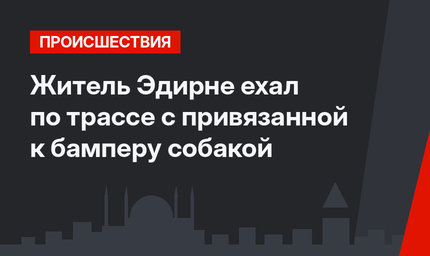 Житель Эдирне ехал по трассе с привязанной к бамперу собакой