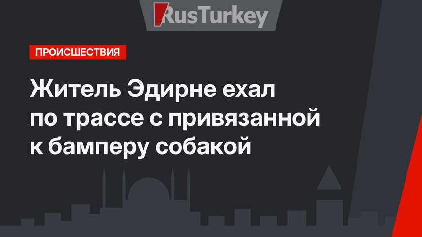 Житель Эдирне ехал по трассе с привязанной к бамперу собакой