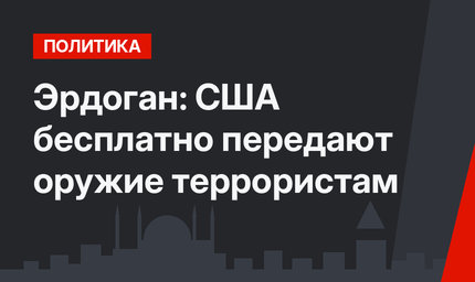 Эрдоган: США бесплатно передают оружие террористам