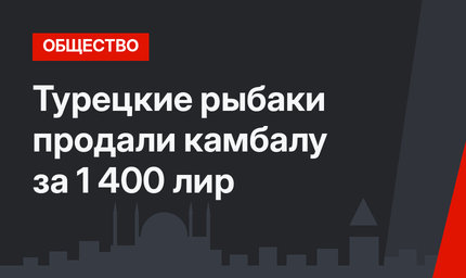 Турецкие рыбаки продали камбалу за 1 400 лир