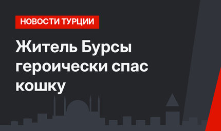 Житель Бурсы героически спас кошку