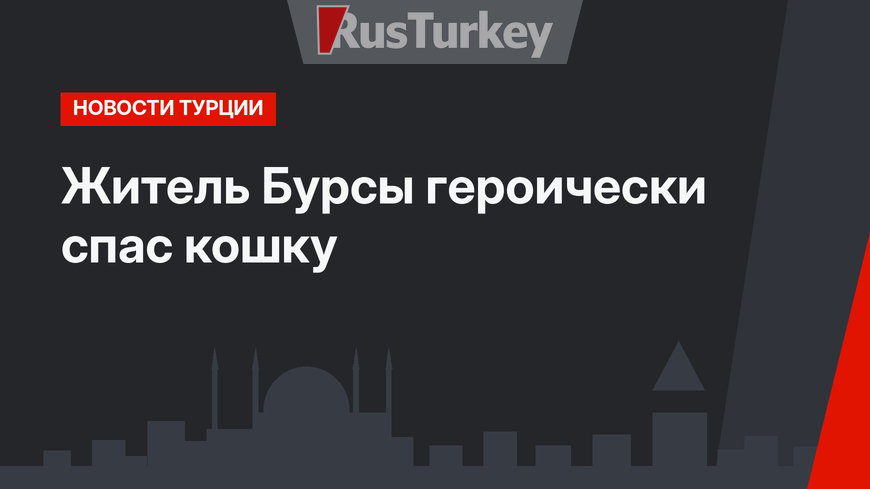 Житель Бурсы героически спас кошку