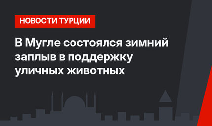 В Мугле состоялся зимний заплыв в поддержку уличных животных