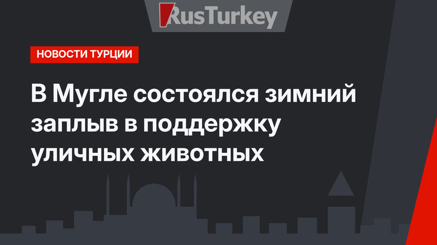В Мугле состоялся зимний заплыв в поддержку уличных животных