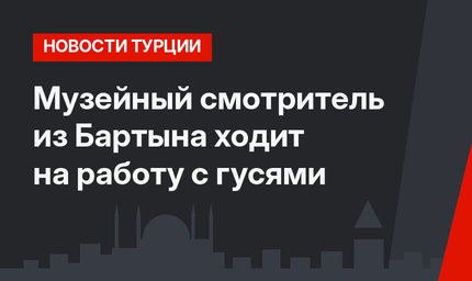 Музейный смотритель из Бартына ходит на работу с гусями