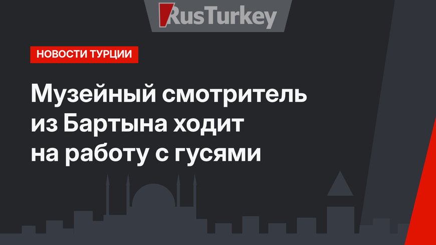 Музейный смотритель из Бартына ходит на работу с гусями