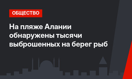 На пляже Алании обнаружены тысячи выброшенных на берег рыб