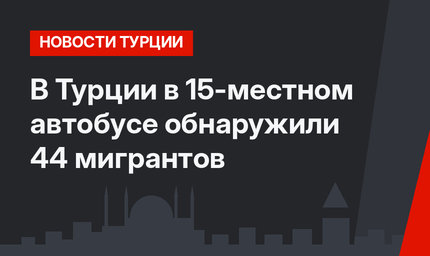 В Турции в 15-местном автобусе обнаружили 44 мигрантов