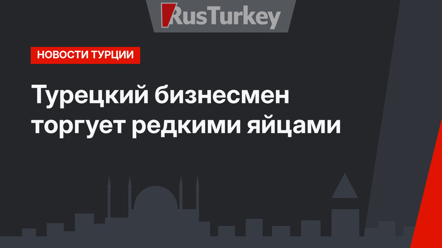 Турецкий бизнесмен торгует редкими яйцами