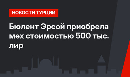 Бюлент Эрсой  приобрела мех стоимостью 500 тыс. лир