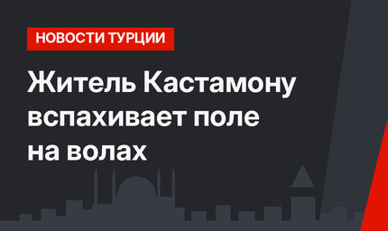 Житель Кастамону вспахивает поле на волах