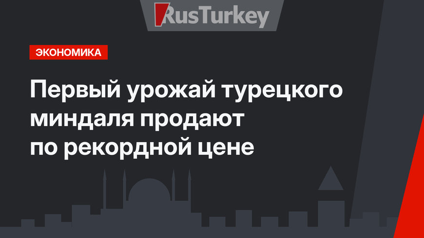 Первый урожай турецкого миндаля продают по рекордной цене