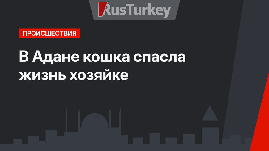 В Адане кошка спасла жизнь хозяйке