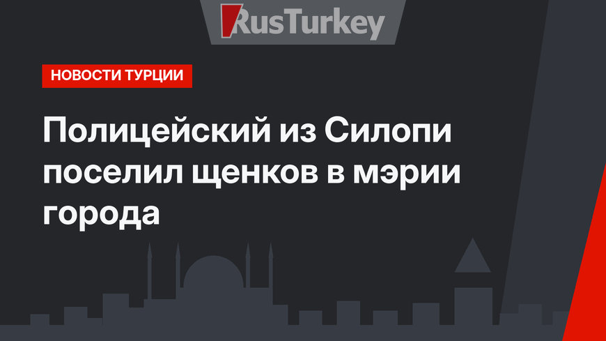 Полицейский из Силопи поселил щенков в  мэрии города