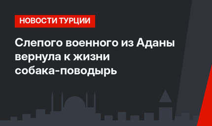 Слепого военного из Аданы вернула к жизни собака-поводырь