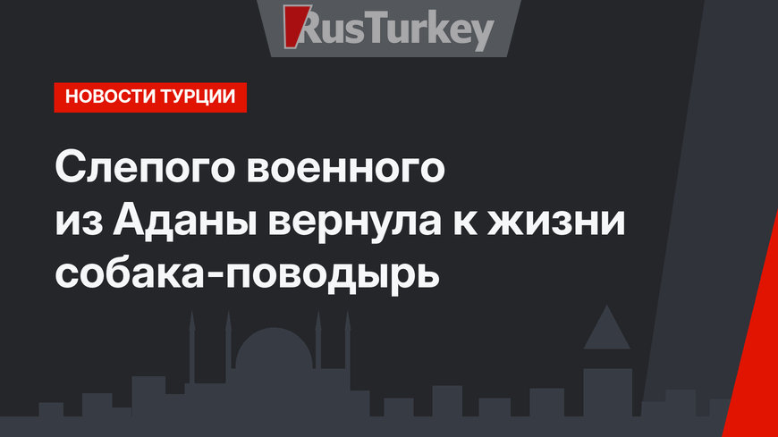 Слепого военного из Аданы вернула к жизни собака-поводырь