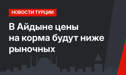 В Айдыне цены на корма будут ниже рыночных
