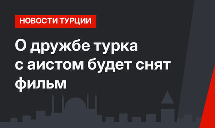 О дружбе турка с аистом будет снят фильм