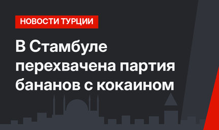 В Стамбуле перехвачена партия бананов с кокаином