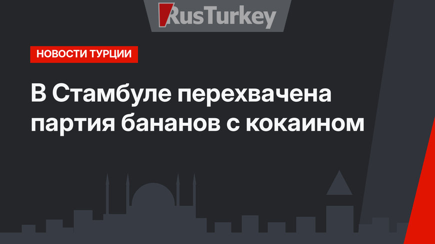 В Стамбуле перехвачена партия бананов с кокаином