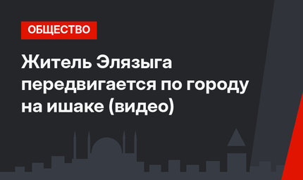 Житель Элязыга передвигается по городу на ишаке (видео)