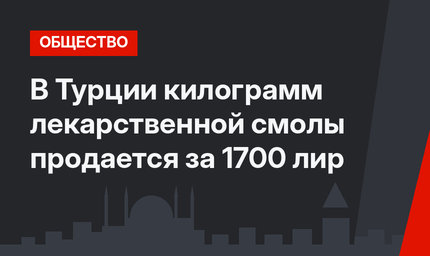 В Турции килограмм лекарственной смолы  продается за 1700 лир