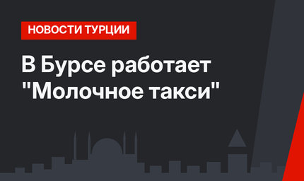 В Бурсе работает "Молочное такси"