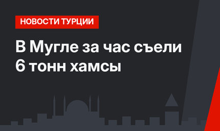 В Мугле за час съели 6 тонн хамсы