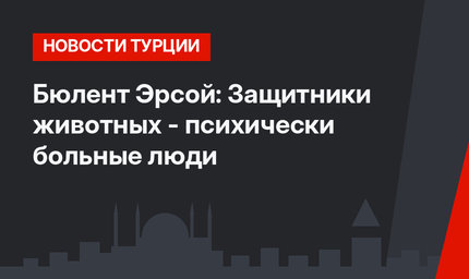 Бюлент Эрсой: Защитники животных - психически больные люди