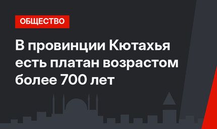 В провинции Кютахья есть платан возрастом более 700 лет