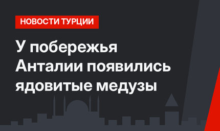 У побережья Анталии появились ядовитые медузы