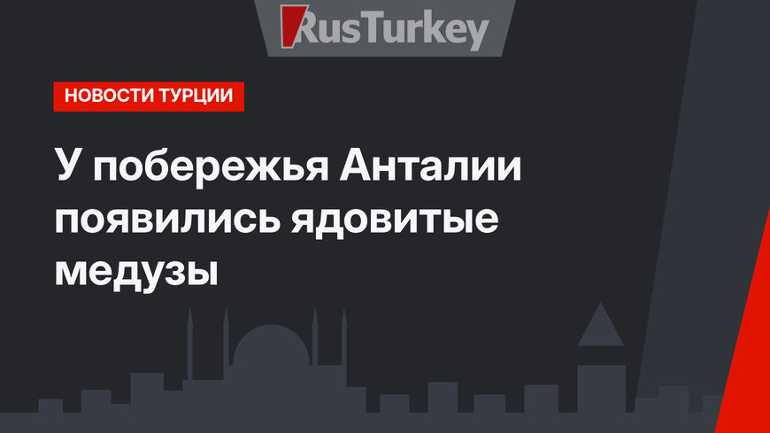 У побережья Анталии появились ядовитые медузы