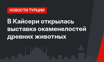 В Кайсери открылась выставка окаменелостей древних животных 