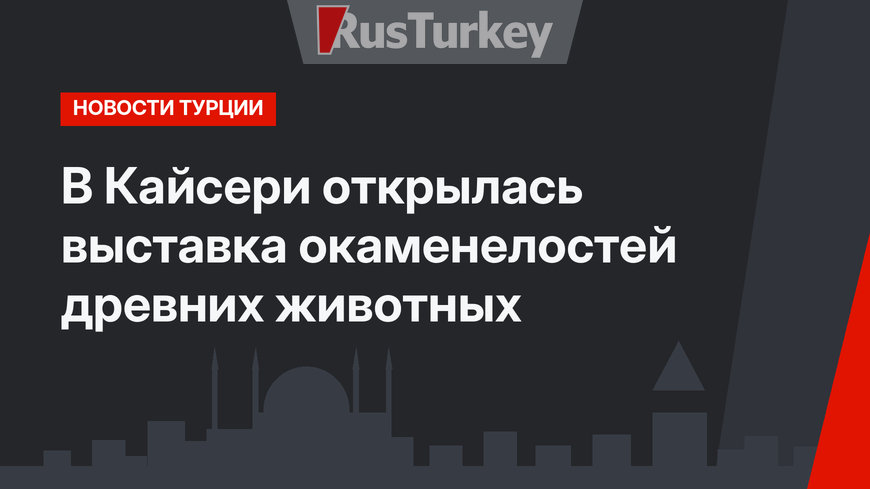В Кайсери открылась выставка окаменелостей древних животных 