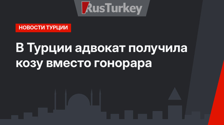 В Турции адвокат получила козу вместо гонорара
