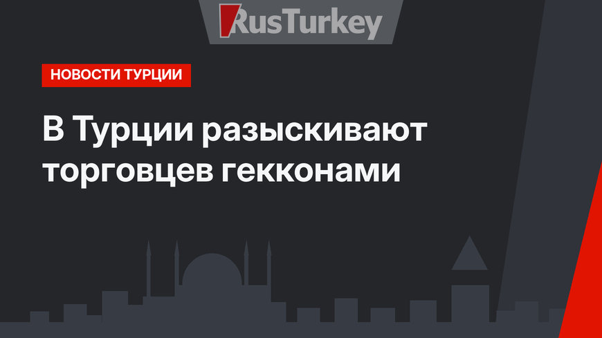 В Турции разыскивают торговцев гекконами