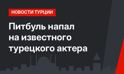 Питбуль напал на известного турецкого актера