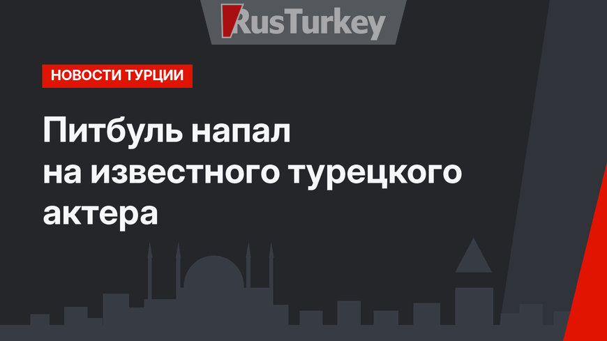 Питбуль напал на известного турецкого актера