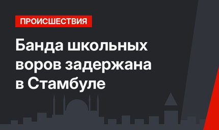Банда школьных воров задержана в Стамбуле
