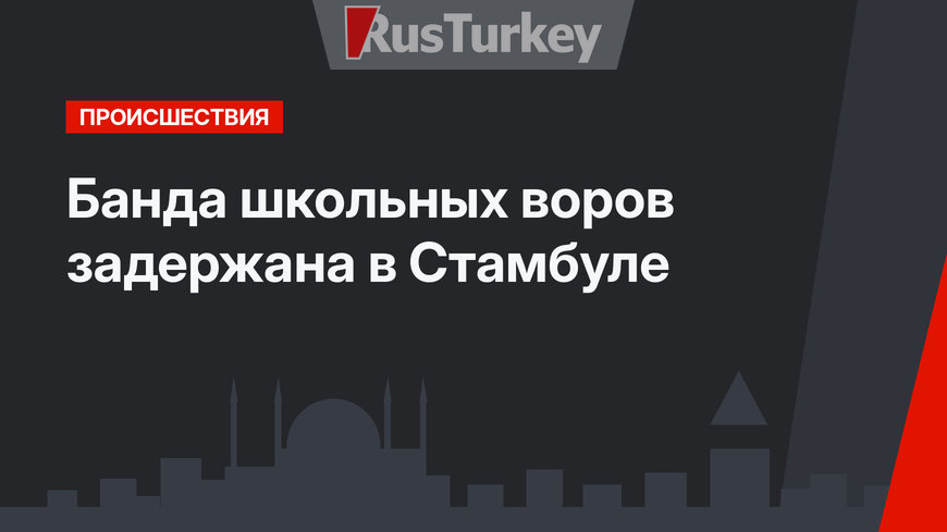 Банда школьных воров задержана в Стамбуле