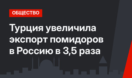 Турция увеличила экспорт помидоров в Россию в 3,5 раза