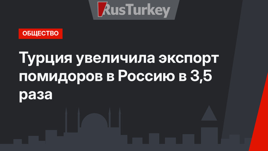 Турция увеличила экспорт помидоров в Россию в 3,5 раза