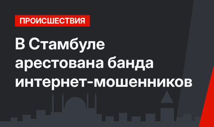 В Стамбуле арестована банда интернет-мошенников