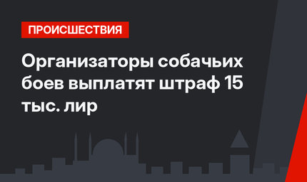 Организаторы собачьих боев выплатят штраф 15 тыс. лир
