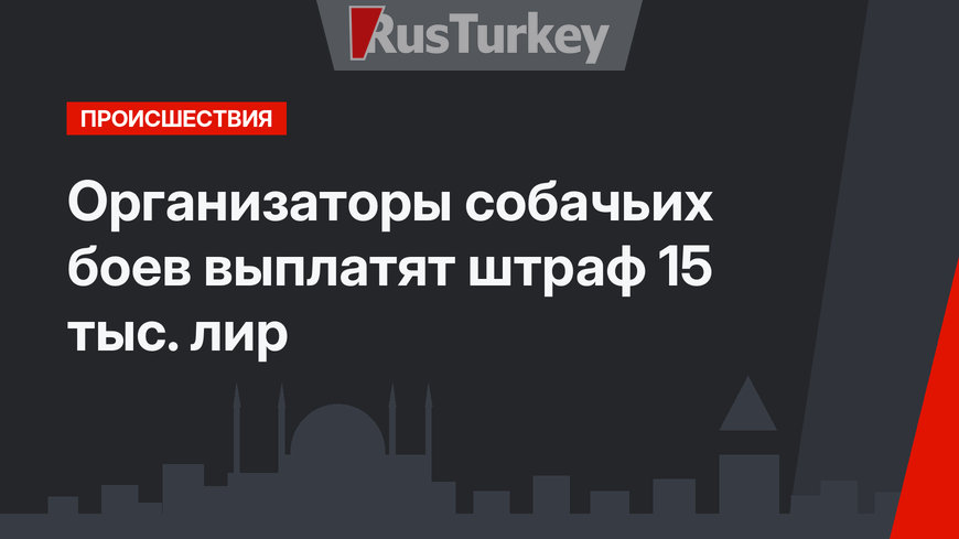 Организаторы собачьих боев выплатят штраф 15 тыс. лир