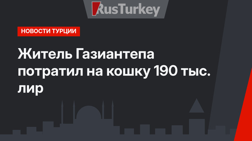 Житель Газиантепа потратил на кошку 190 тыс. лир