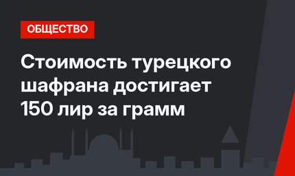 Стоимость турецкого шафрана достигает 150 лир за грамм