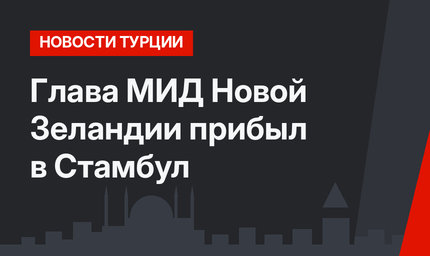 Глава МИД Новой Зеландии прибыл  в Стамбул